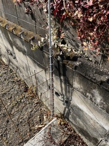 S__73244715
