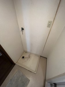S__75497527