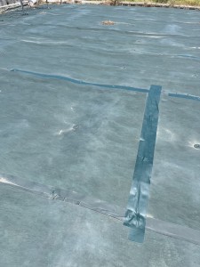 S__78307389
