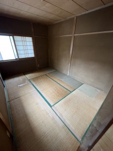 S__81485844_0