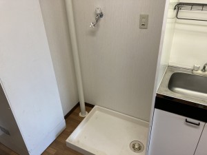 S__99475618