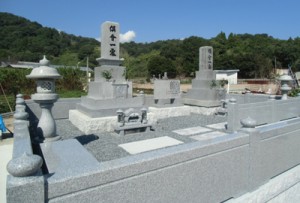 about_img001