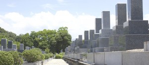 bnr_img002