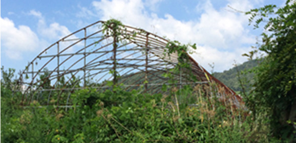 草刈・シート貼り