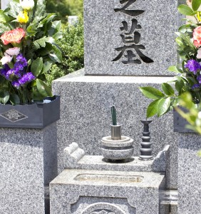sp_image1