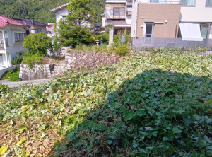 令和6年8月23日 (3)