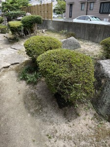 作業後 (10)