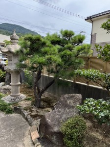 作業後 (6)
