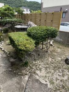 作業後 (8)