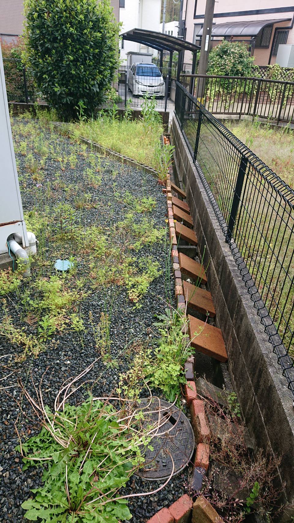 毎月の管理にて草刈を行いました。