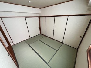 完成 (12)
