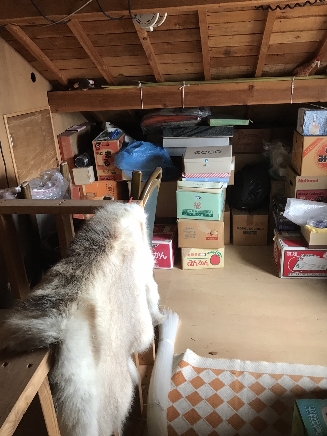 荷物撤去を行いました。
