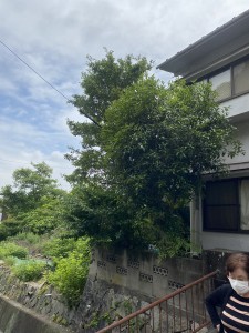 工事前 (7)