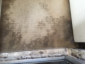 清掃前 (3)