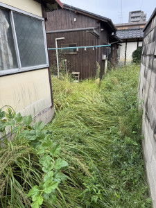 現調時 (10)