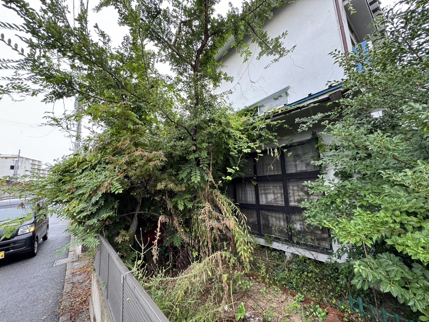 草刈伐採を行いました。