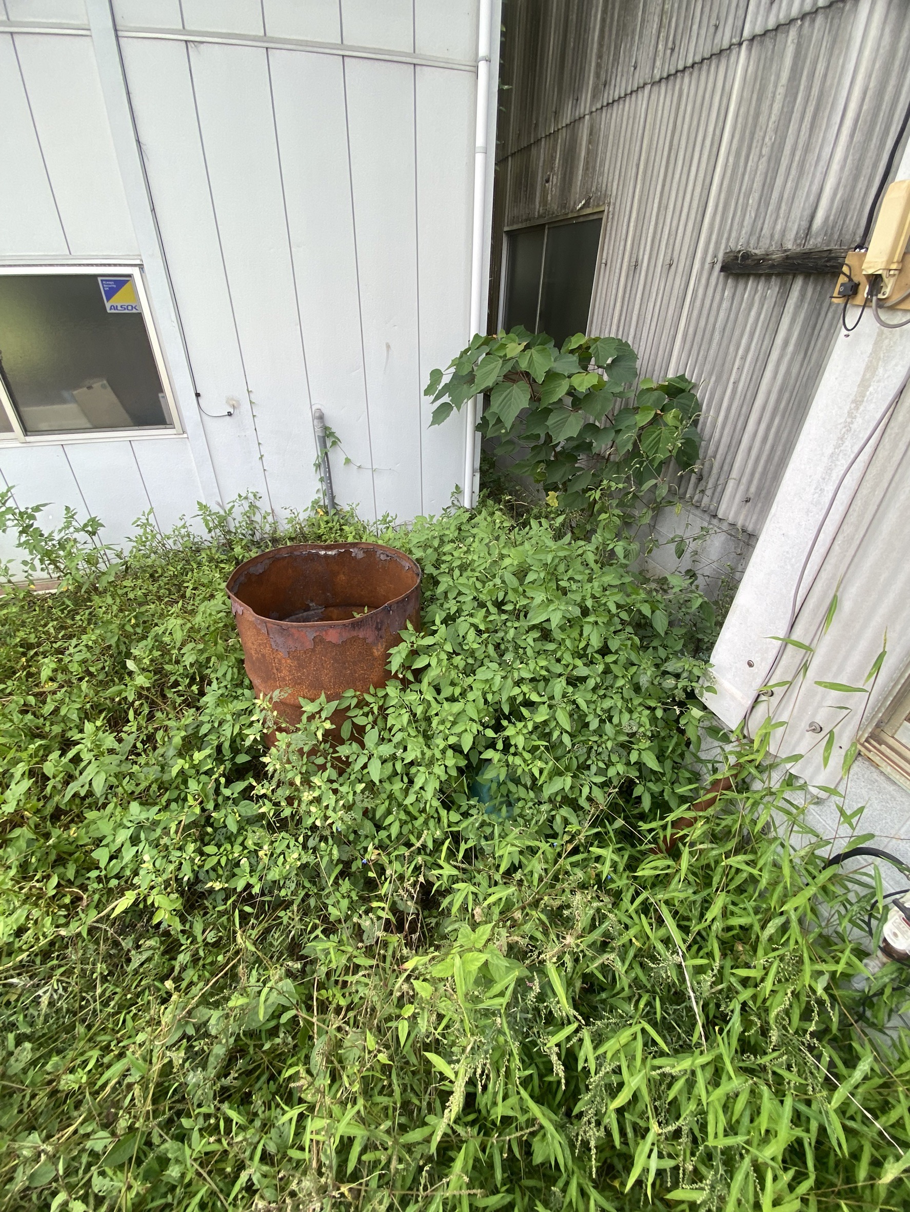 黒瀬町で草刈、シート張りを行いました。
