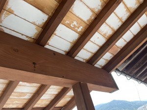 自宅玄関上 (1)