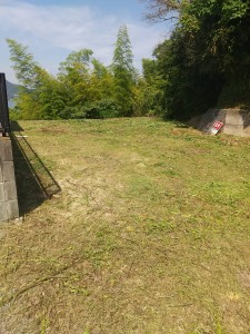 草刈後 (3)