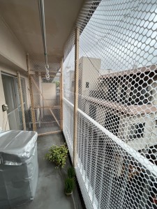 ６月３０日 (12)