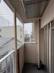 ６月３０日 (13)
